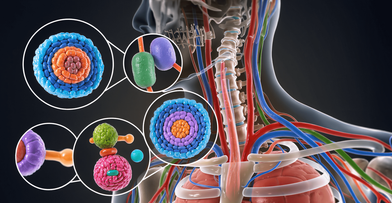 układ endokannabinoidowy